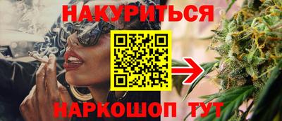 гидра Можга