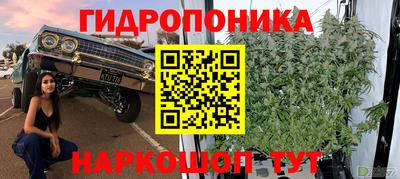 сатива Можайск