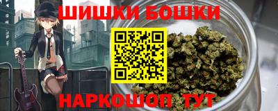 гидра Можга