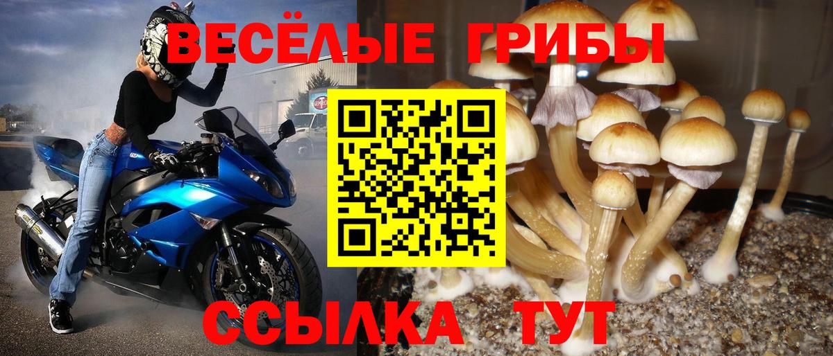 Псилоцибиновые грибы MAGIC MUSHROOMS Чита