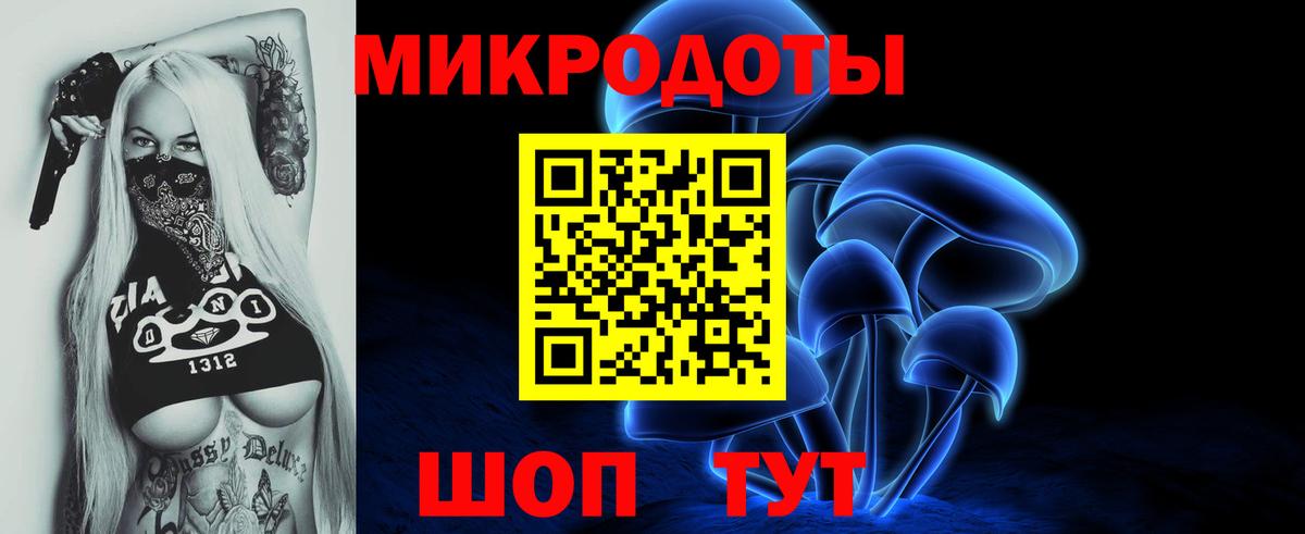 Чита  Галлюциногенные грибы Cubensis  Вход с VPN 