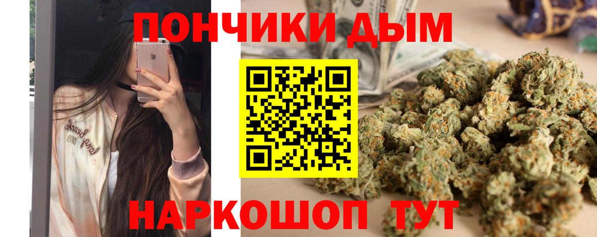 Бошки Шишки гибрид Чита